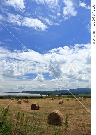 青空が広がる夏の空と入道雲 105467216