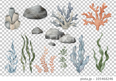 Set of Sea Pebbles, marine coral, seaweed algae. Hand drawn watercolor illustration. Marine, tropical collection for souvenir, posters, sticker, printing, banner Set of Sea Pebbles, marine coral, seaweed algae. Hand drawn watercolor illustration. Marine, tropical collection for souvenir, posters, sticker, printing, banner 105468246