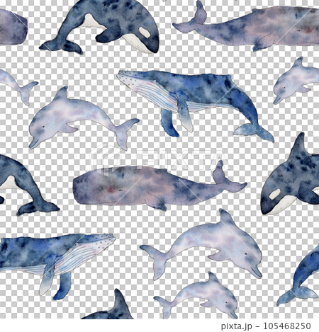 Seamless pattern with Orcinus orca, cachalot, dolphin, humpback. Wild inhabitants of the seas and oceans. Hand drawn cetaceans fish line art illustration. Endless background for wallpaper, fabric Seamless pattern with Orcinus orca, cachalot, dolphin, humpback. Wild inhabitants of the seas and oceans. Hand drawn cetaceans fish line art illustration. Endless background for wallpaper, fabric 105468250