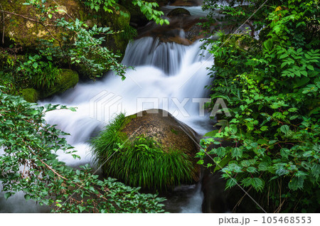 夏の清らかな清流 安曇野市 夏の清らかな清流 安曇野市 105468553