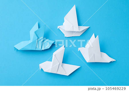 International day of peace or world peace day, symbol of peace - pigeon International day of peace or world peace day, symbol of peace - pigeon 105469229