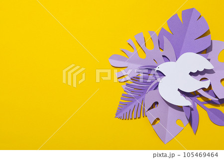 International day of peace or world peace day, symbol of peace - pigeon International day of peace or world peace day, symbol of peace - pigeon 105469464
