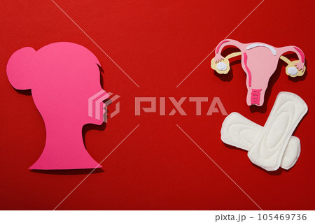 Pink female silhouette in profile with menstrual hygiene products Pink female silhouette in profile with menstrual hygiene products 105469736