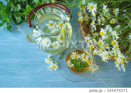 Tea from fresh chamomile flowers, mint, in a cup, on a wooden table, against the background of bouquets of fresh chamomile flowers Tea from fresh chamomile flowers, mint, in a cup, on a wooden table, against the background of bouquets of fresh chamomile flowers 105470371