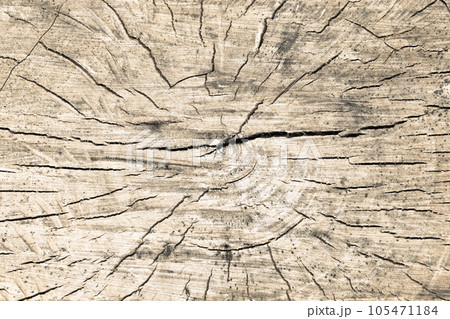 Tree rings old weathered wood texture with the cross section of a cut log. Tree rings old weathered wood texture with the cross section of a cut log. 105471184