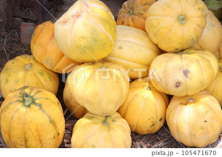 Cucumis melo fruit on shop 105471670