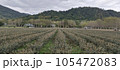 景色 風景 農耕 105472083