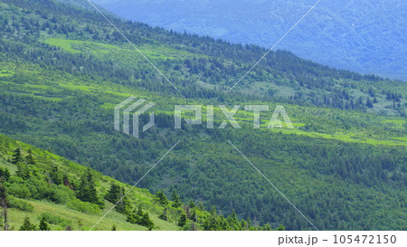 八甲田ロープウェイ山頂駅付近からの大岳ふもと方向1 105472150