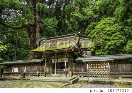 小浜　若狭姫神社　神門と本殿　福井県小浜市 105472319