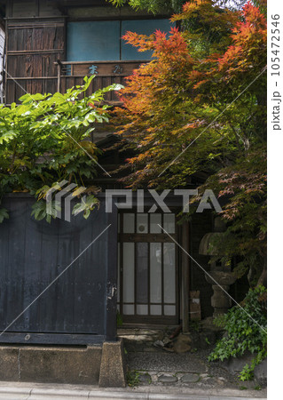 硝子戸の玄関と新緑の植木が見事な民家・文京区 硝子戸の玄関と新緑の植木が見事な民家・文京区 105472546