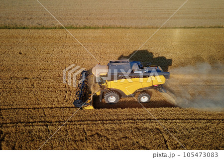 Harvesting machine working at agricultural field. Combine harvester collecting golden wheat field. Harvest reaping season 105473083