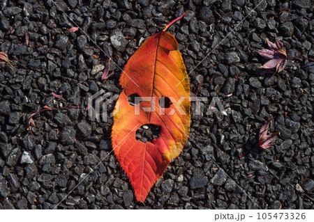 紅葉・落ち葉・人面葉 紅葉・落ち葉・人面葉 105473326