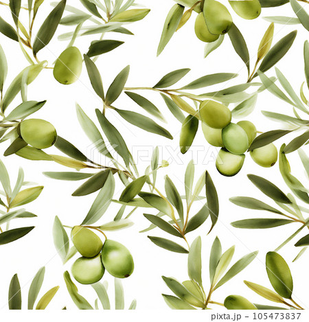 Beautiful seamless pattern with green olive branches on white background in vintage style. Beautiful seamless pattern with green olive branches on white background in vintage style. 105473837