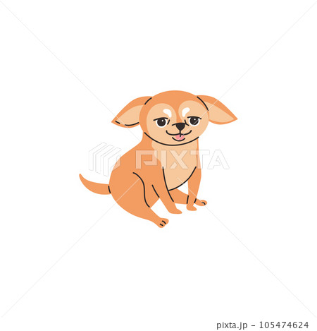 Cartoon Chihuahua purebred breed of furry dog is sitting and smiling, cute little brown pet vector isolated illustration Cartoon Chihuahua purebred breed of furry dog is sitting and smiling, cute little brown pet vector isolated illustration 105474624