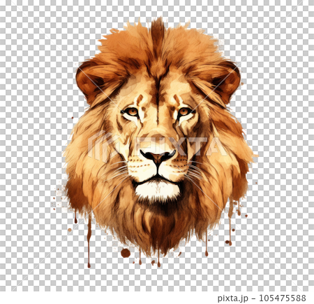 Lion animal isolated Lion animal isolated 105475588