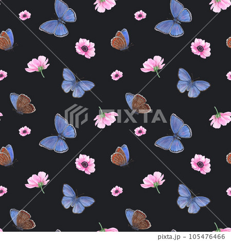 Flying Blue Butterflies and Pink Blooming Anemone. Scarce Copper Butterfly, Spring Flower. Illustration isolated on black background. Watercolor seamless pattern. For textile, scrapbooking, wrapping. 105476466