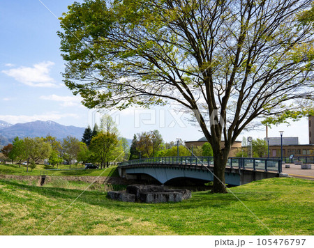 新緑の河川公園から望む景色 新緑の河川公園から望む景色 105476797