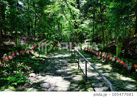 金剛輪寺 金剛輪寺 105477081