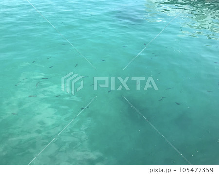 エメラルドグリーンの海と魚たち エメラルドグリーンの海と魚たち 105477359