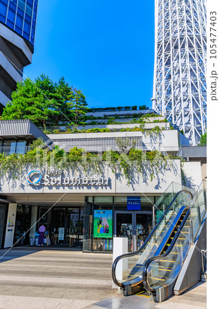 東京　墨田区　東京スカイツリーと東京ソラマチ 105477403