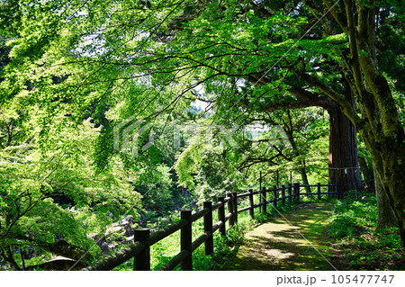 大瀧神社 大瀧神社 105477747