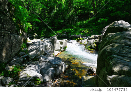 大瀧神社 105477753