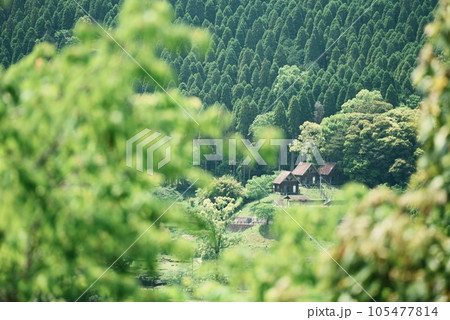 山の中にあるキャンプ場 山の中にあるキャンプ場 105477814