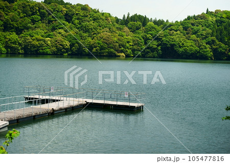 住吉池の桟橋の風景 住吉池の桟橋の風景 105477816