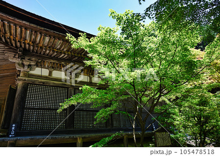 金剛輪寺 金剛輪寺 105478518