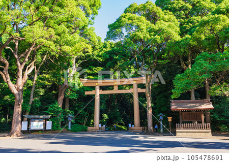 明治神宮　建替えが完了した第一鳥居 105478691