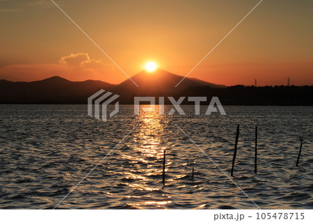 ダイヤモンド筑波 105478715