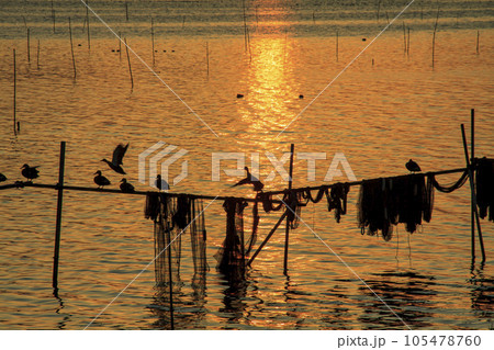 親沢の鼻側でみられる涸沼夕景の一コマ 親沢の鼻側でみられる涸沼夕景の一コマ 105478760