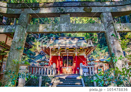 愛知 鳳来山東照宮 拝殿 愛知 鳳来山東照宮 拝殿 105478836