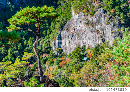愛知 鳳来寺山 105478839