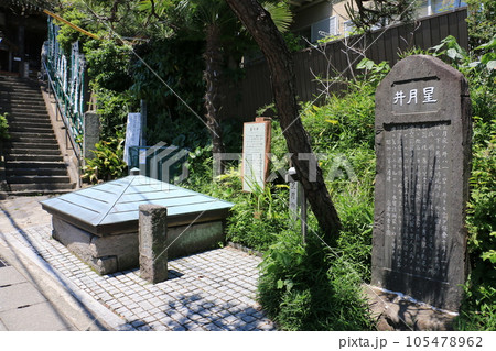 神奈川県鎌倉市坂ノ下の星の井 神奈川県鎌倉市坂ノ下の星の井 105478962