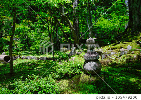 西明寺 西明寺 105479200