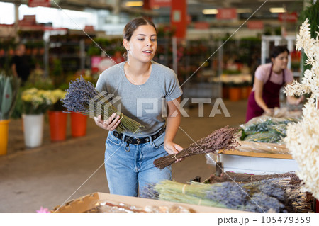 Girl choosing lavender bouquets with purple flowers at flower market 105479359