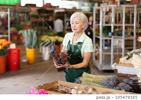 Elderly woman, hostess of the flower market, collects lavender in bouquet 105479385