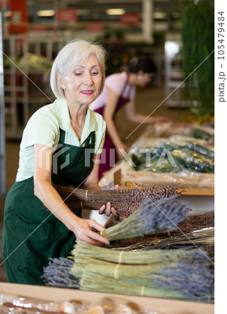 Old saleswoman holding bundles of lavender in open-air plants market 105479484