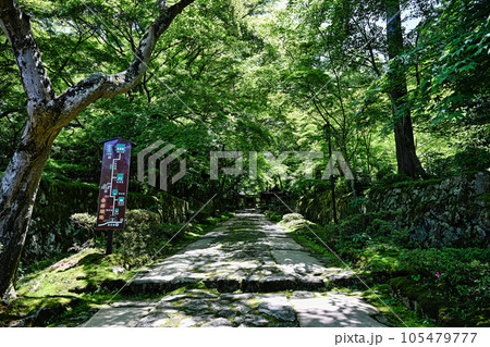 金剛輪寺 金剛輪寺 105479777
