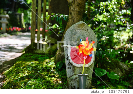 金剛輪寺 金剛輪寺 105479791