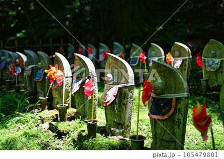 金剛輪寺 金剛輪寺 105479801