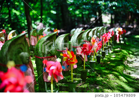 金剛輪寺 105479809