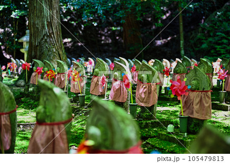 金剛輪寺 金剛輪寺 105479813