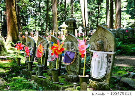 金剛輪寺 金剛輪寺 105479818