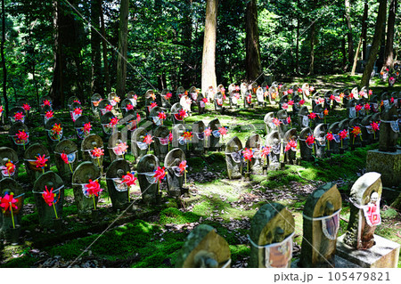 金剛輪寺 金剛輪寺 105479821