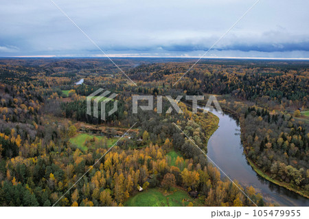 Above aerial shot of green pine forests and yellow foliage groves with beautiful texture of golden treetops. Beautiful fall season scenery in evening. Mountains in autumn colors in golden time 105479955