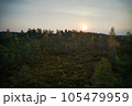 Above aerial shot of green pine forests and yellow foliage groves with beautiful texture of golden treetops. Beautiful fall season scenery in evening. Mountains in autumn colors in golden time 105479959