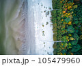 Above aerial shot of green pine forests and yellow foliage groves with beautiful texture of golden treetops. Beautiful fall season scenery in evening. Mountains in autumn colors in golden time 105479960