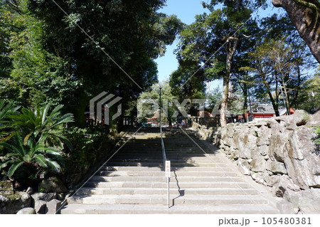 神社の階段 神社の階段 105480381